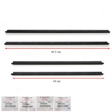 Set 4D Cinghia Porta Striscia