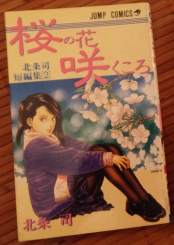 Lot mangas tsukasa hojo - lot,