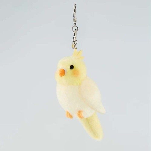 Carino pappagallo cacatua