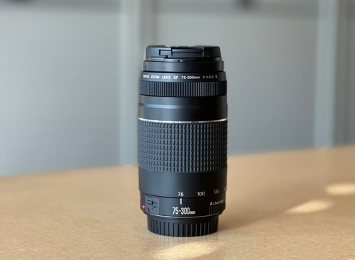 Canon 300mm 5 - ef, 75-300mm