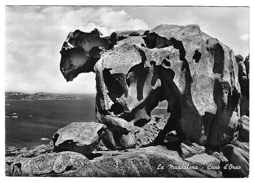 Maddalena capo d orso - -,