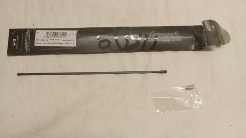Raggio completo campagnolo - raggio,