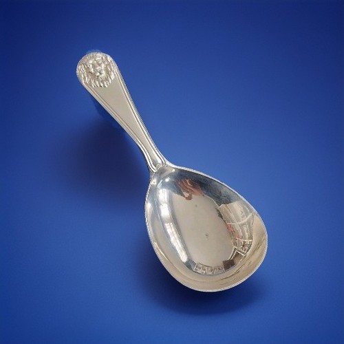 Cucchiaio caddy argento - in,