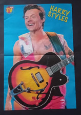 HARRY STYLES - CANTANTE E ATTORE - POSTER 41 X 27,5 CM