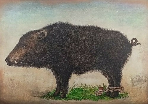 Bruno caruso - bruno,