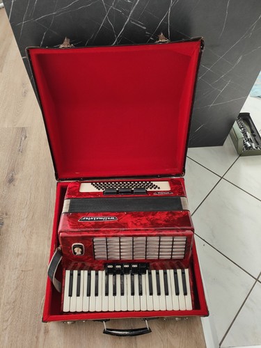 Fisarmonica campione del mondo