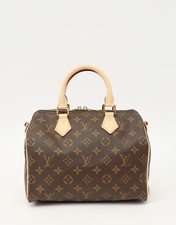 Borsa Louis Vuitton Speedy 25