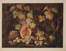 RARA STAMPA VINTAGE FOTOGRAFIA