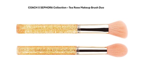 Set pennelli trucco - coach, x