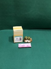Thun Coppia Mini Tartarughe