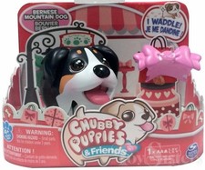 Chubby puppies friends - chubby,