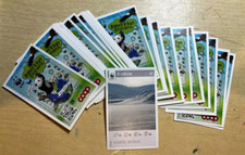 evado mancoliste Card  SALVA