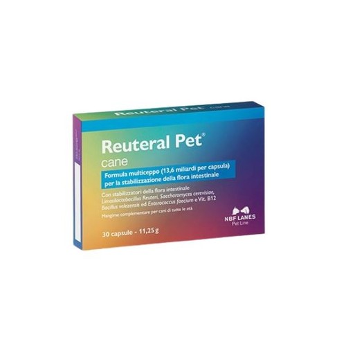 Reuteral pet cane - cane,