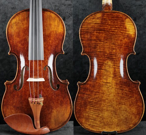 Favoloso maestro violino