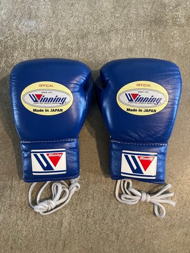 Guantoni boxe vincenti 8 - guantoni,