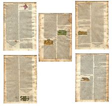 Stampe antiche ERBARIO