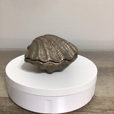 Conchiglia decorativa con