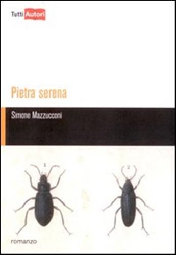 Pietra serena mazzucconi - serena,