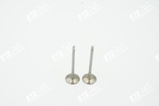 2x Intake Valve 1.8 2.0 2.5