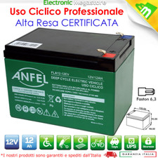 BATTERIA AL PIOMBO 12V VOLT 12 AH BICI ELETTRICHE 6DZM-12 6-DZM-12 DEEP CYCLE