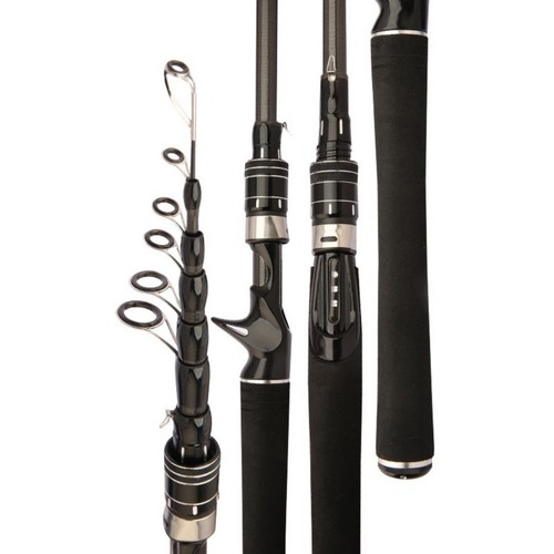 Canna pesca carbonio pali - da,
