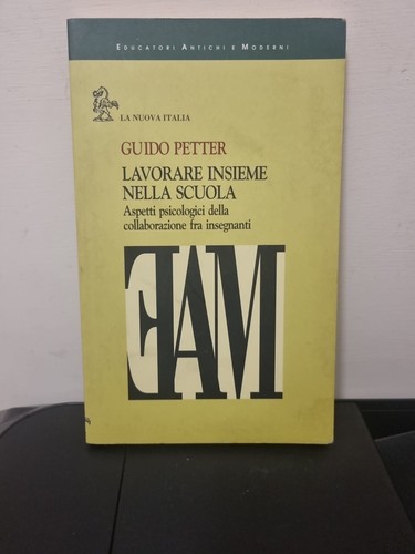 Lavorare insieme nella scuola - lavorare,