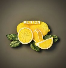 Mentone, Francia Souvenir Turistico 3D Resina Frigo Frigorifero Calamita IDEA REGALO