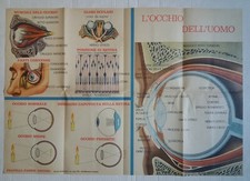 'L'occhio dell'uomo' Oculista Oculistica Oftalmologia manifesto 1960 L'educatore