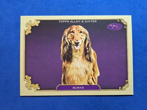 2024 burns topps allen - burns,