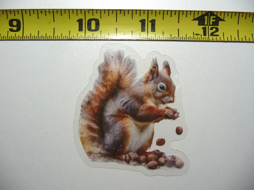 Squirrel nuts piccolo - squirrel,