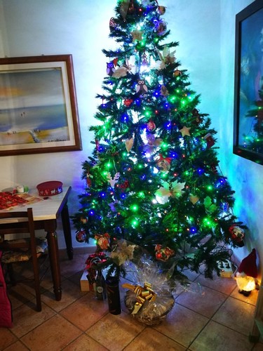 Albero natale verde - natale,