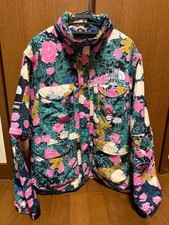 supreme the north face