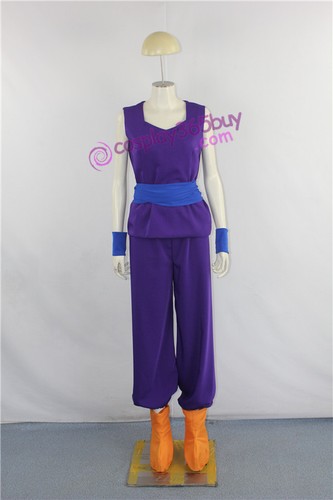 Costume dragon ball son - ball,