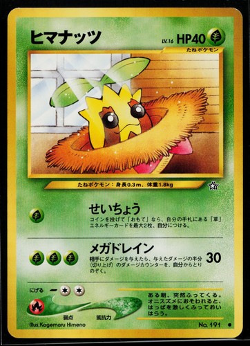Sunkern comune oro - sunkern,