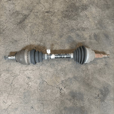 13124675 Semialbero ant