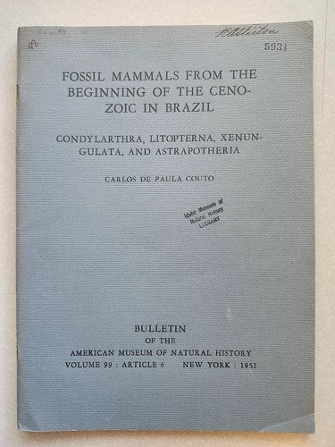 Fossil mammals beginning - fossil,