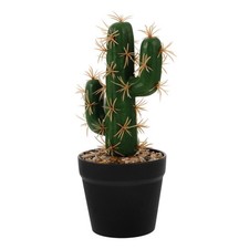  Piantine Finte Piante Grasse