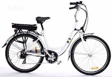 Bicicletta Elettrica NWG unica