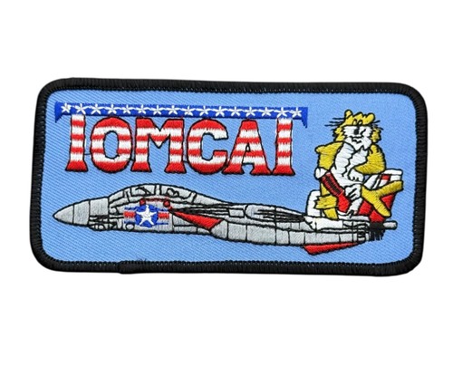 Tomcat fighter jet cat - jet,