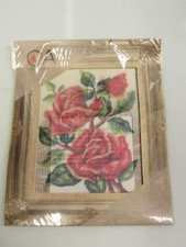 KIT/QUADRO MEZZO PUNTO 20X25 "ROSE ROSSE"