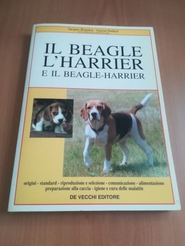 Beagle harrier e - e, il