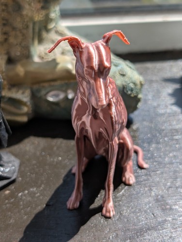 Greyhound lurcher whippet home - whippet,