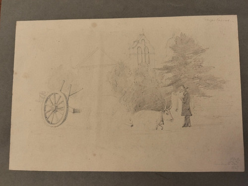 1850 disegno matita campo - 1850,