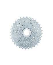 PACCO PIGNONI CAMPAGNOLO