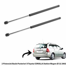 2 MOLLE  A GAS PISTONI