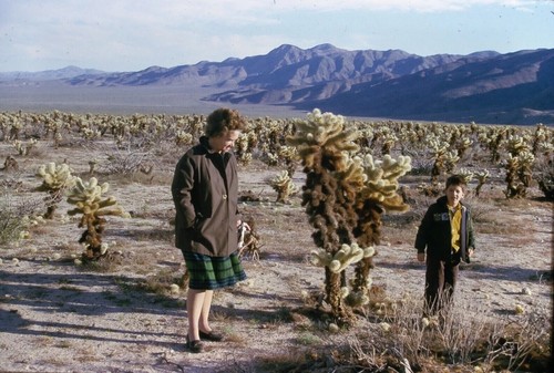 Cactus campo - campo, donna
