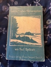 Dove sulle alte punte di abete