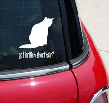 GOT BRITISH SHORTHAIR? ADESIVO