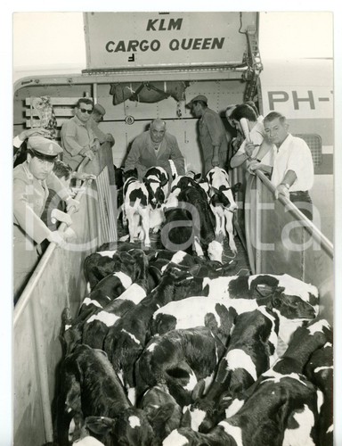 1960 milano malpensa twa - ca,