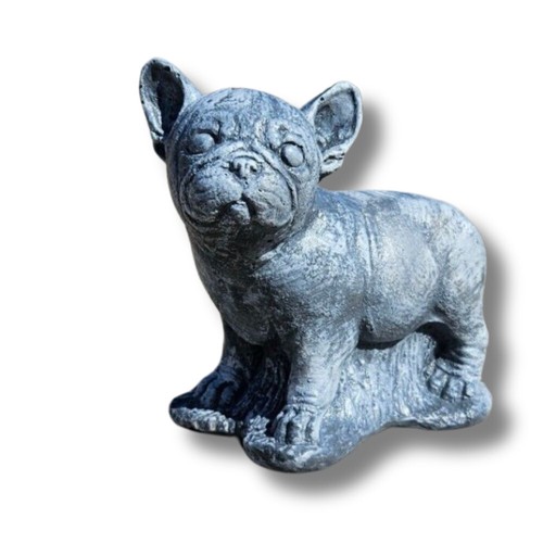 Statua cane bulldog francese - cane,